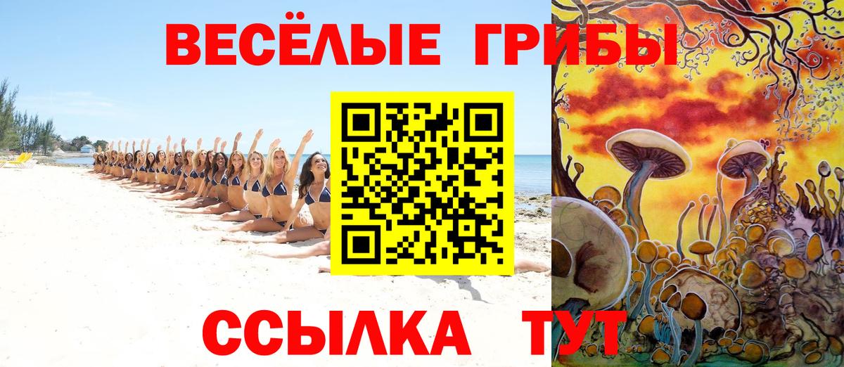 Нижний Тагил  Галлюциногенные грибы Psilocybe  Вход с VPN 